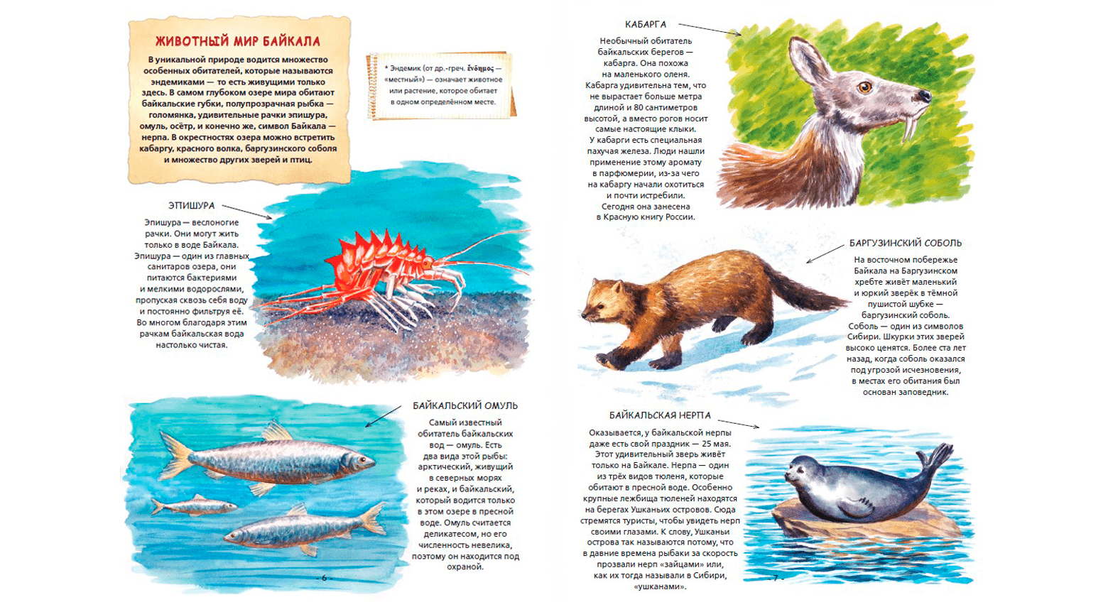 Иду, лечу, еду! Книга-путешествие по России — иллюстрация 3