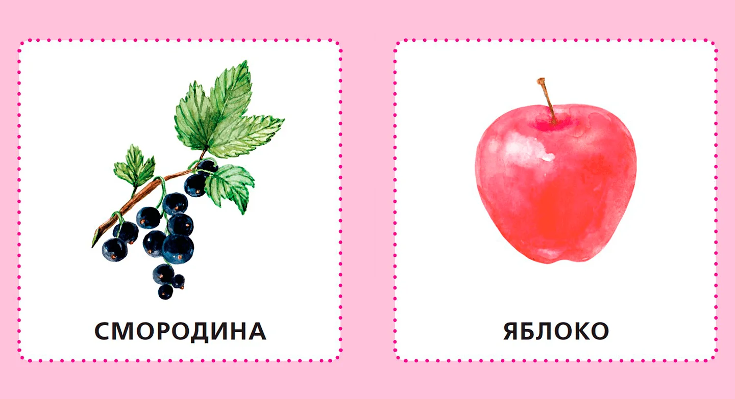 Фрукты. Ягоды. Овощи — иллюстрация 2