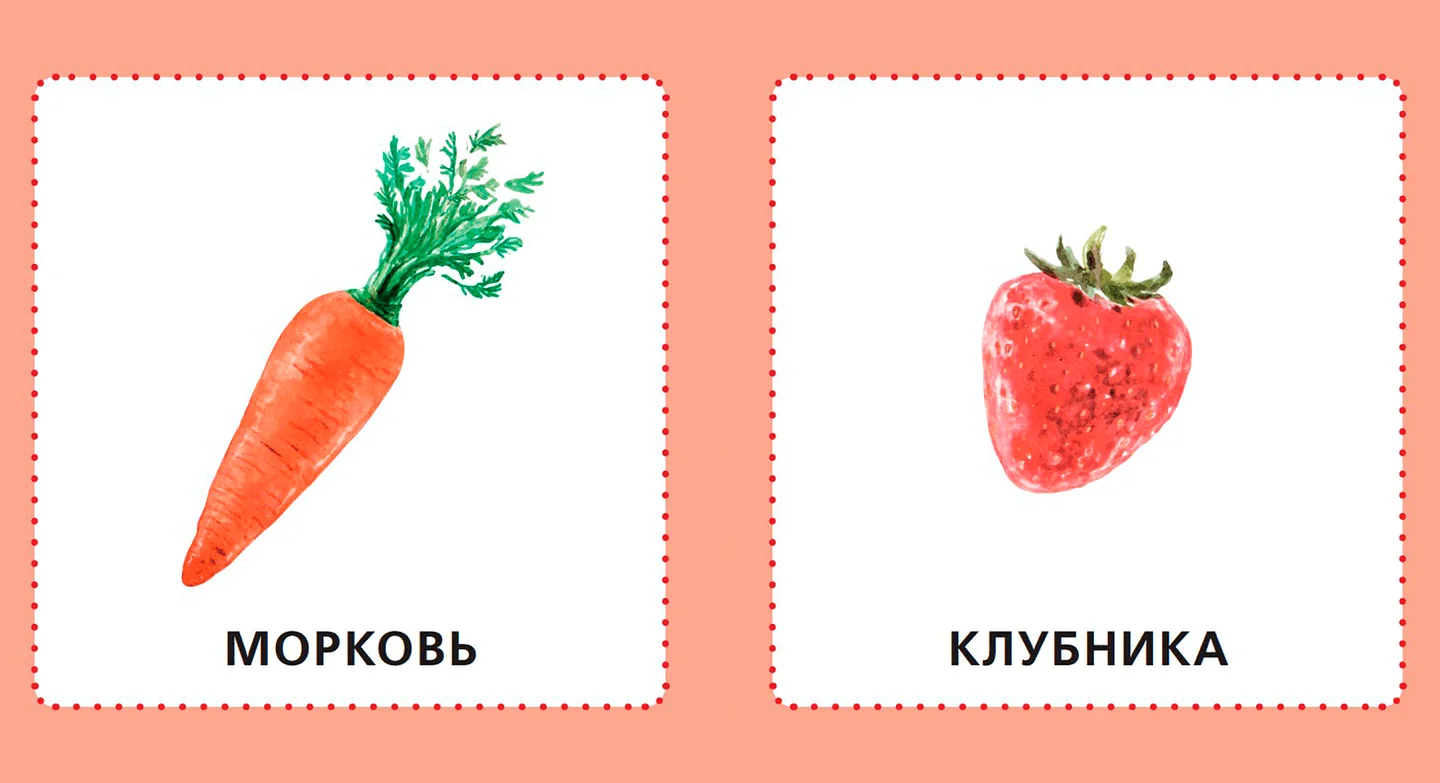 Фрукты. Ягоды. Овощи — иллюстрация 3