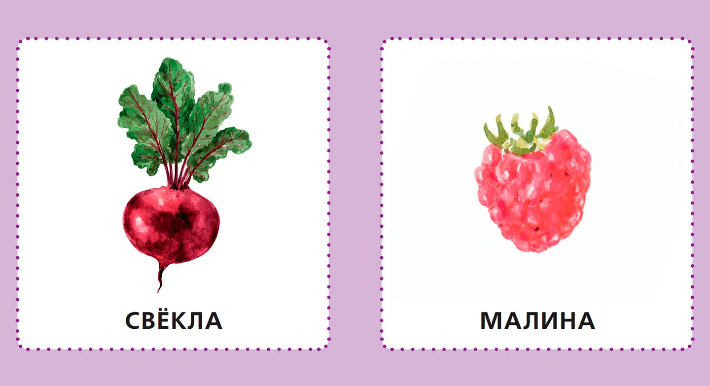 Фрукты. Ягоды. Овощи — иллюстрация 4