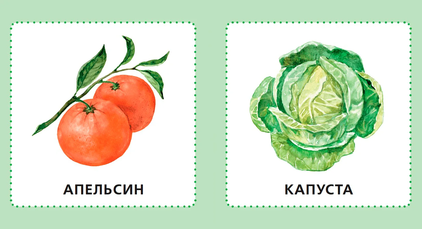 Фрукты. Ягоды. Овощи — иллюстрация 5