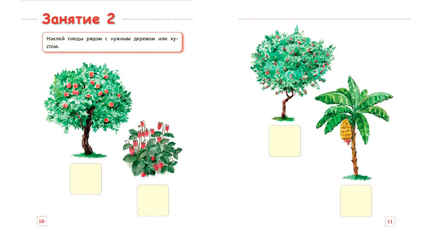 Развивающие задания для детей 3-4 лет. Мир растений — иллюстрация 1