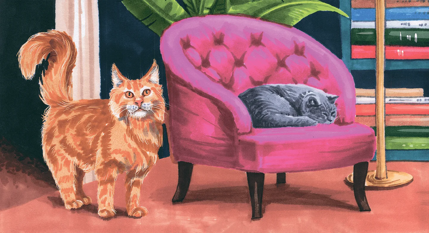 Кошачья азбука — иллюстрация 3