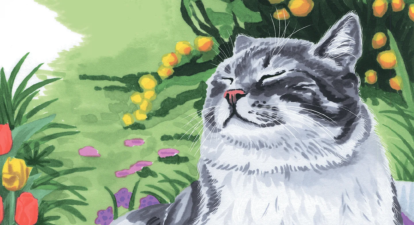 Кошачья азбука — иллюстрация 5