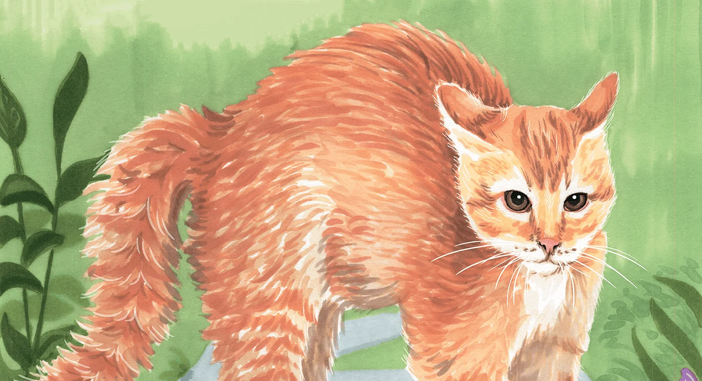 Кошачья азбука — иллюстрация 7