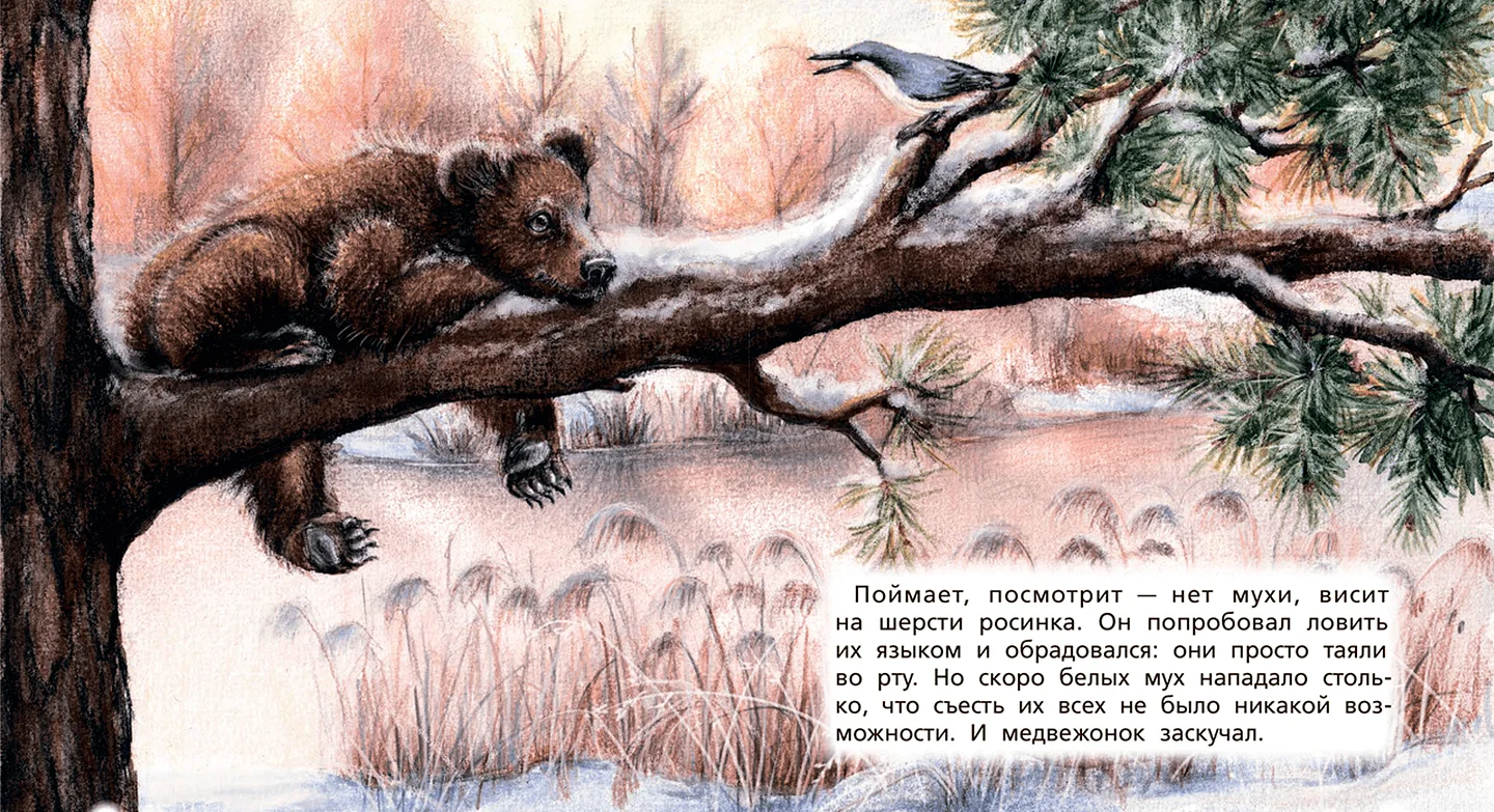 Иллюстрация из книги «Медвежонок Бурик»