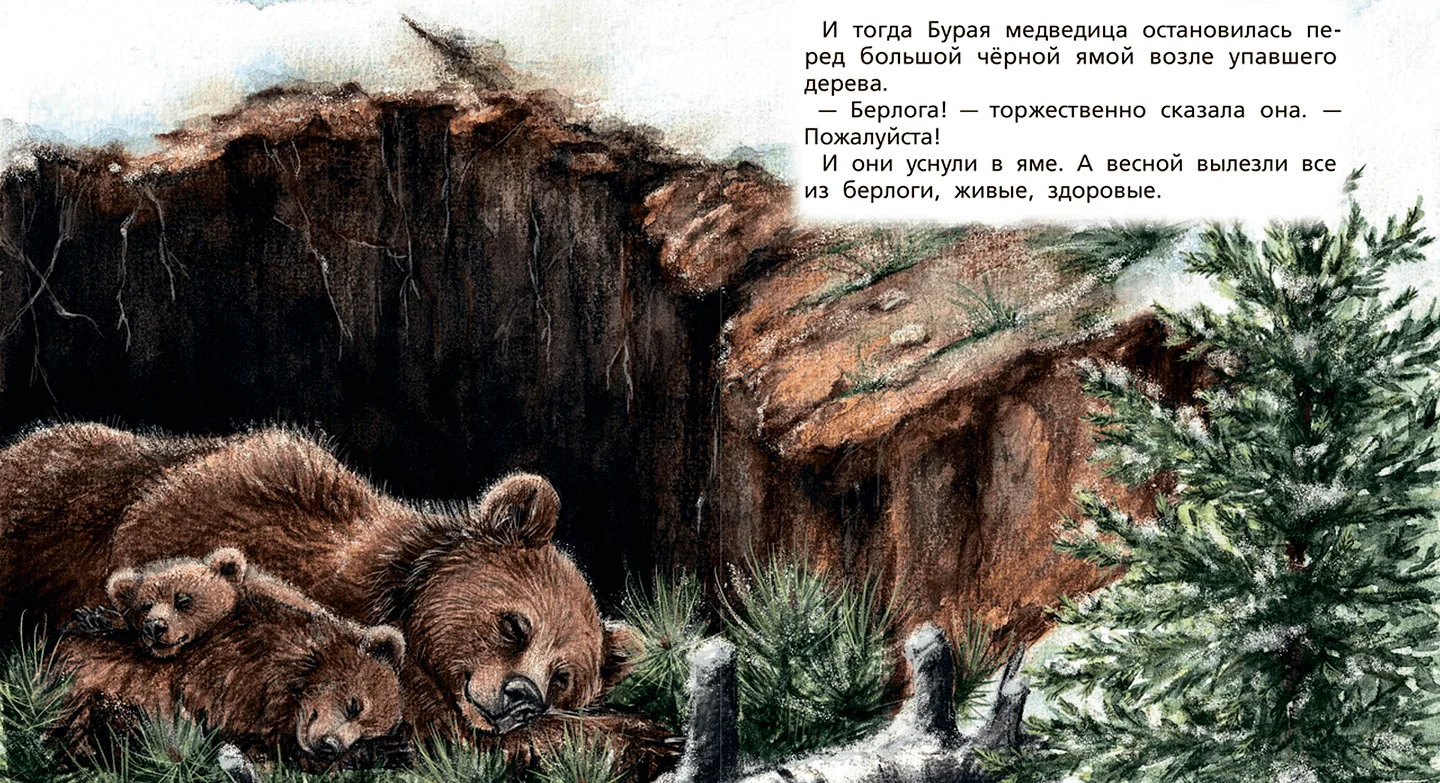 Иллюстрация из книги «Медвежонок Бурик»