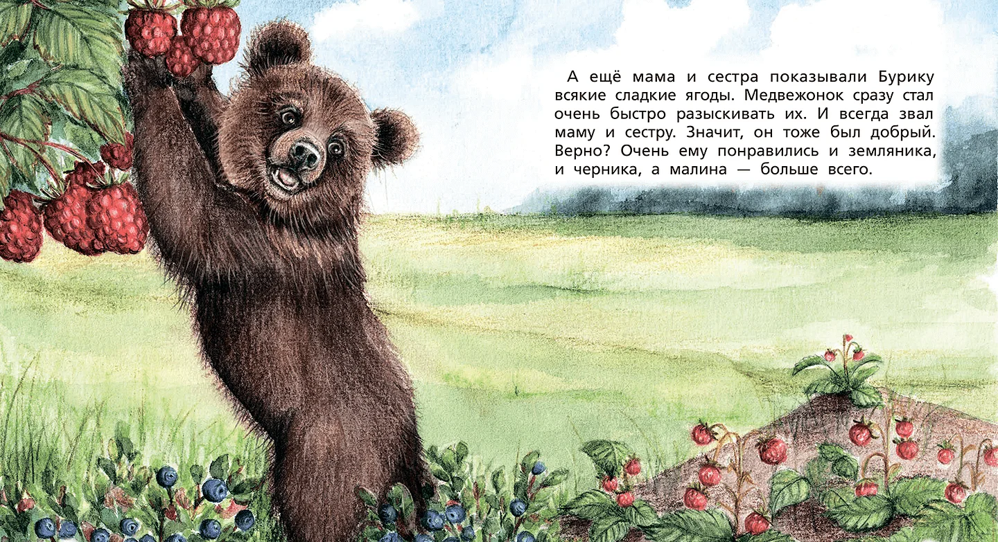 Иллюстрация из книги «Медвежонок Бурик»