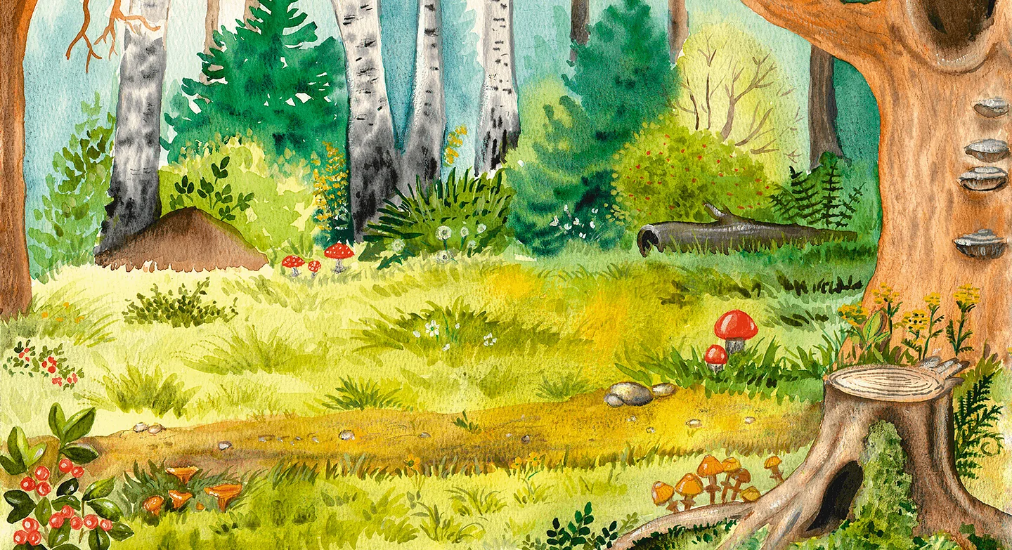 Иллюстрация из книги «Многоразовые наклейки. Дикие животные»