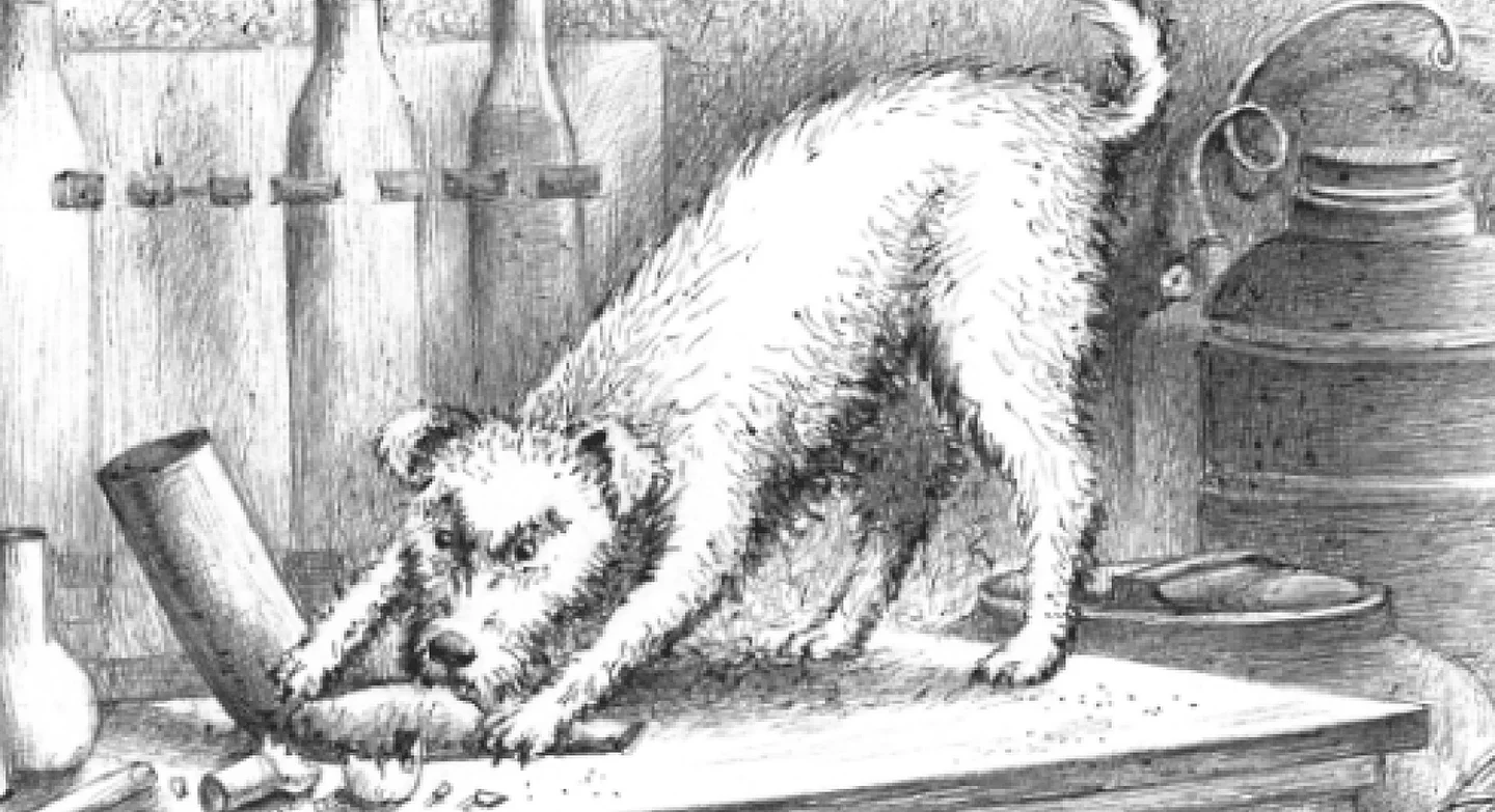 Иллюстрация из книги «Голубые люди Розовой земли»