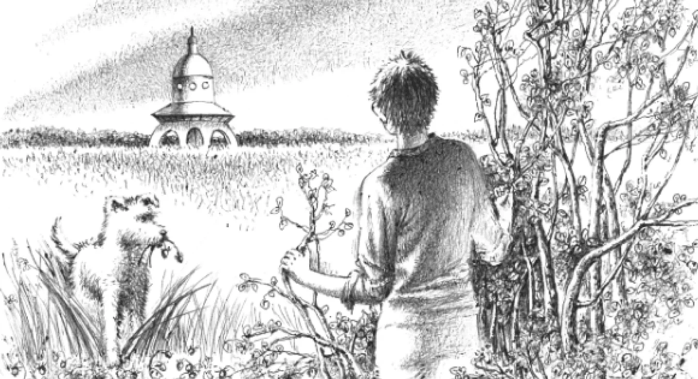 Иллюстрация из книги «Голубые люди Розовой земли»