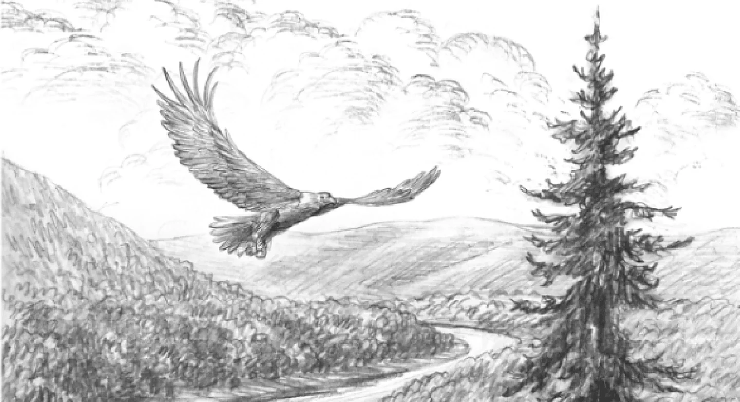 Иллюстрация из книги «Тайна реки Злых Духов»